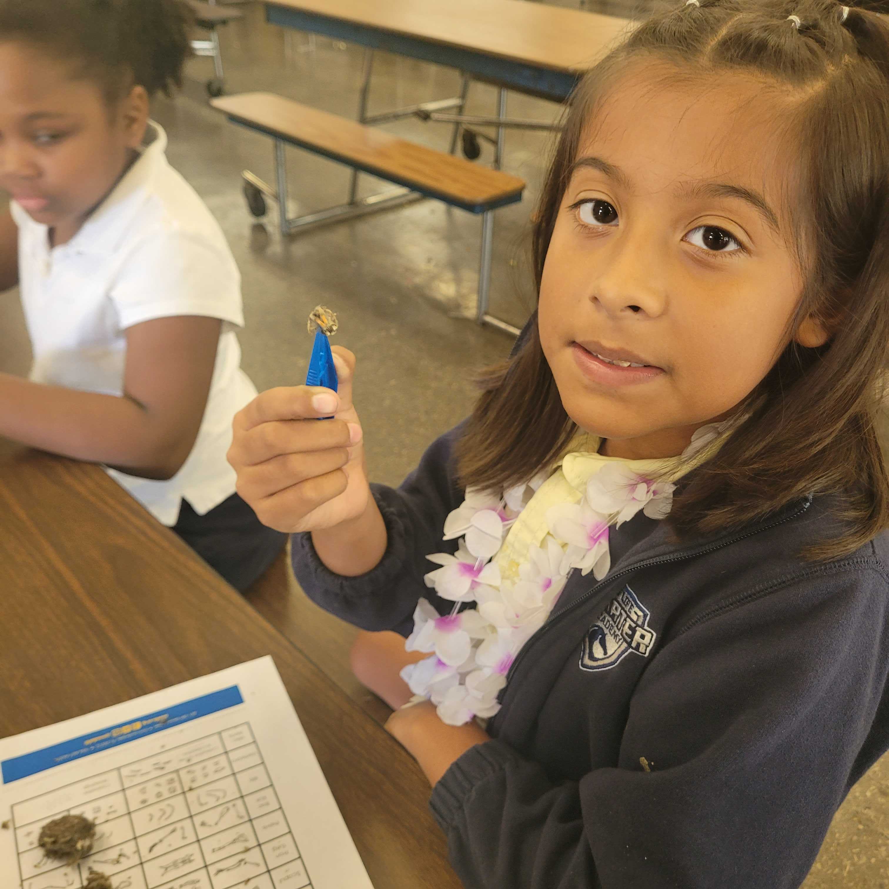 students-participating-in-stem-activities