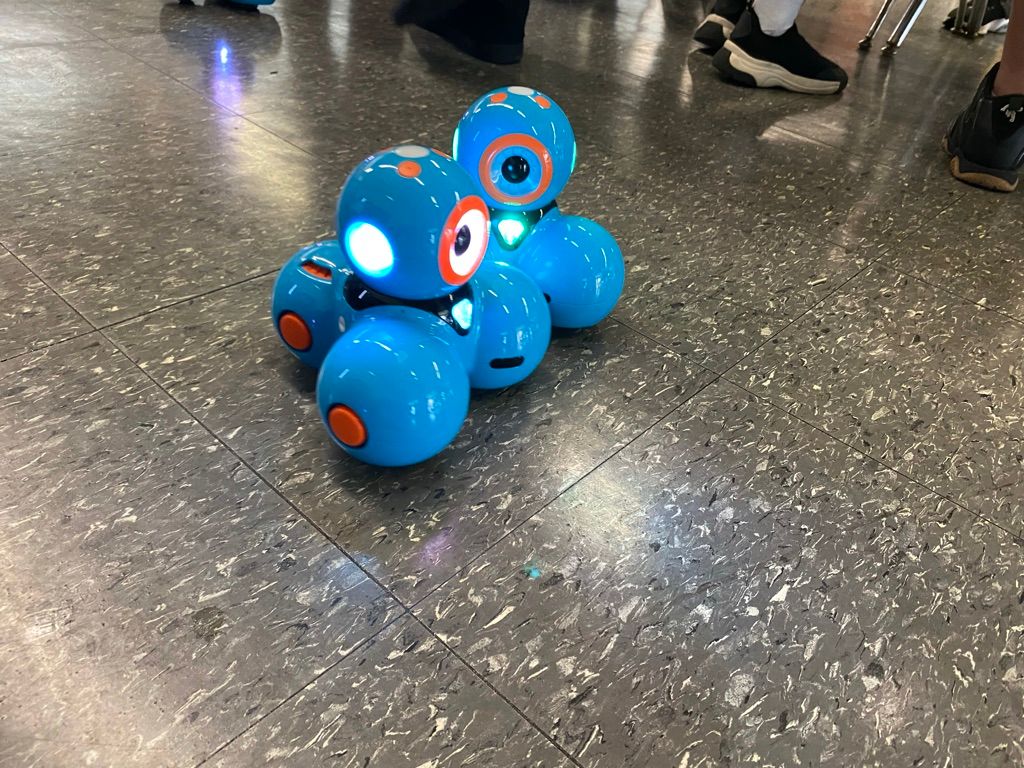 Stem Activity
